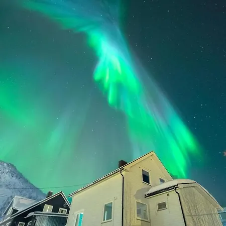 Aurora Boutique Hut With Private Sauna Senja